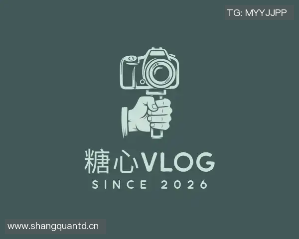 txvlog com糖心小桃视频-寻找快乐所在，txvlog的新世界——糖心小桃视频